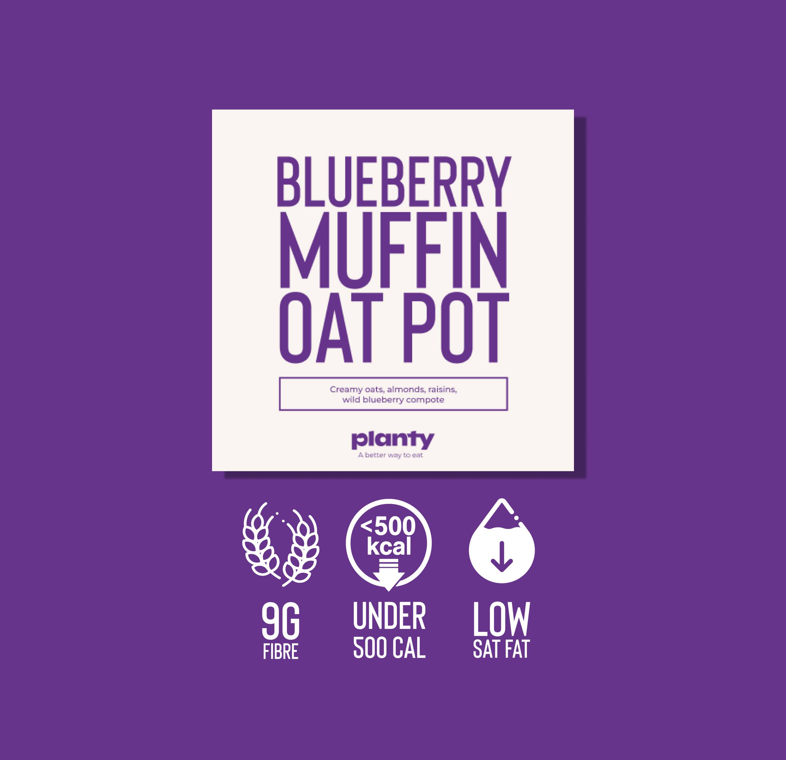Blueberry Muffin Oat Pot