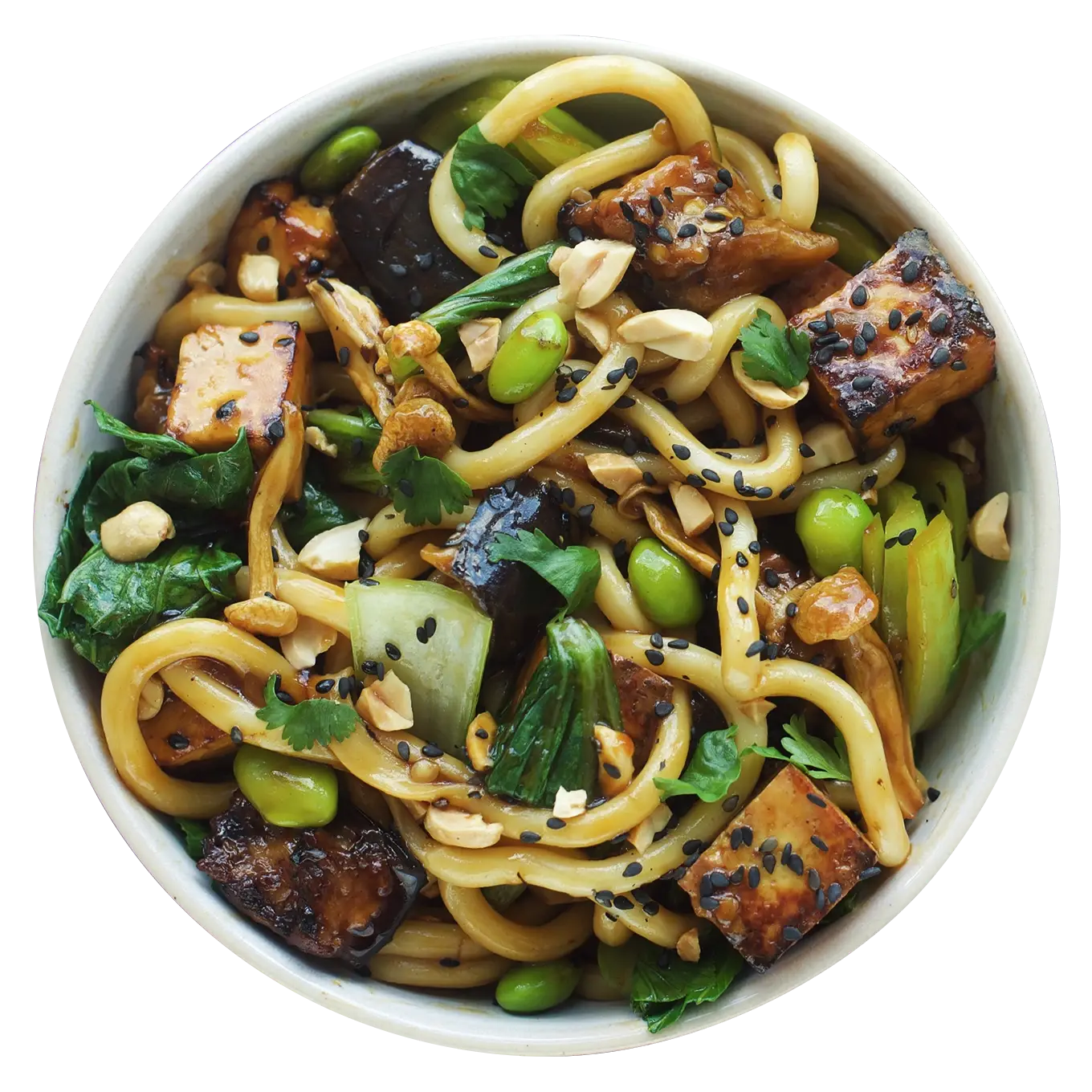 Vegan udon noodle dish